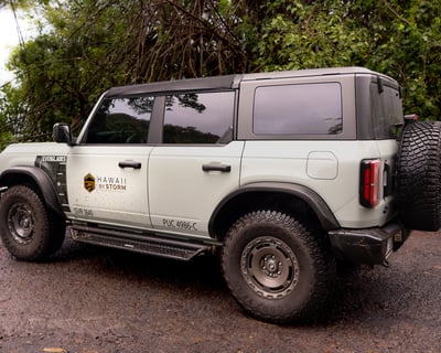 Half-Day Hana Adventure in a Bronco