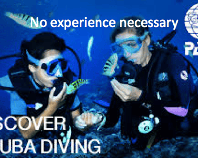 Beginner Scuba Diving Lesson in Aguadilla
