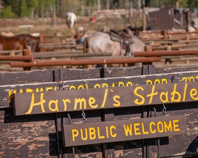 45-Minute Horsemanship Lesson in Almont