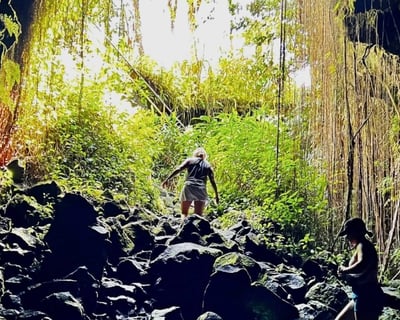Private Big Island Guided Tour