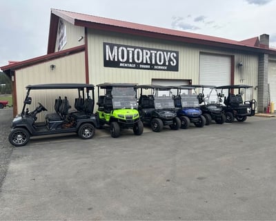 8-Hour Golf Cart Rental in Cle Elum