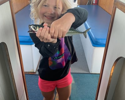 Mackerel Fishing Trip