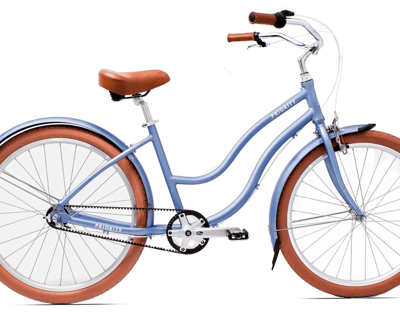 Three-Speed Beach Cruiser Rental in Treasure Island