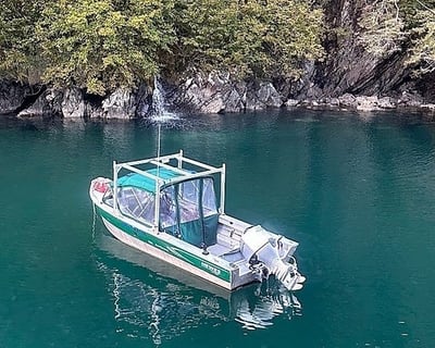 Private Resurrection Bay Boat Tour