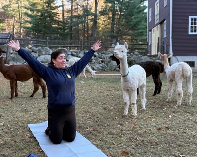 Outdoor Alpaca Yoga Class in Georgetown