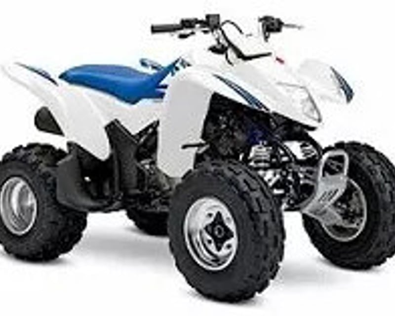 Z250 Sport Quad ATV Rental in Burbank, WA