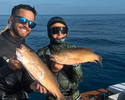 Guided Spearfishing Charter in Islamorada