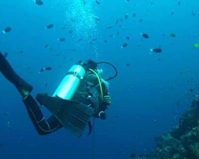 Puerto Vallarta First-Time Scuba Diving Lesson