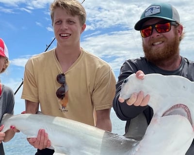 Evening Shark Fishing Charter in Hilton Head