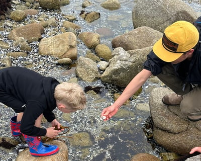 Monterey Guided Tide Pooling Tour