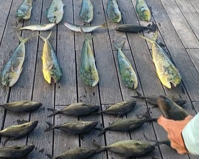 Full-Day Fishing Charter in Marathon