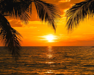 Florida Keys Sunset Charter
