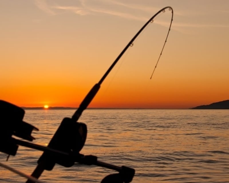 Private Half-Day Light Tackle Fishing Charter in Key West