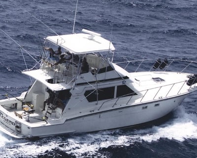 Full-Day Deep Sea Fishing Charter in San Juan