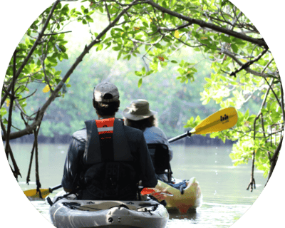 2-Hour Indian River Lagoon Kayak & Paddleboard Rental