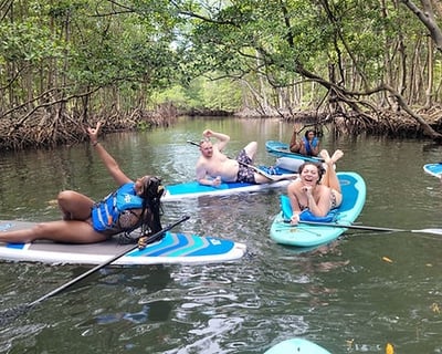 Mangrove SUP & Kayak Tour in Miami Beach