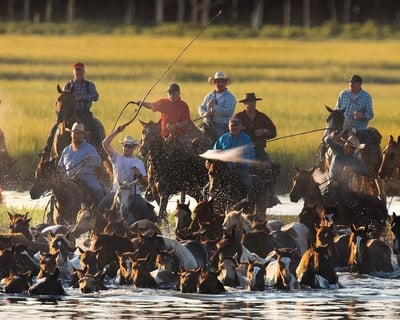 Chincoteague Island Pony Swim Boat & Jet Ski Rentals