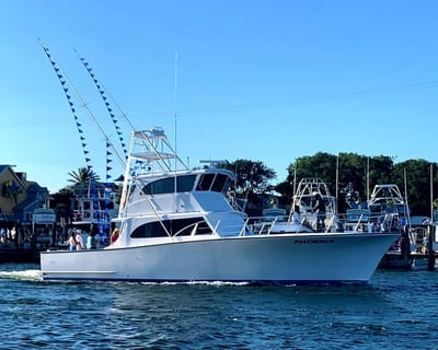 6-Hour Destin Bottom Fishing Charter
