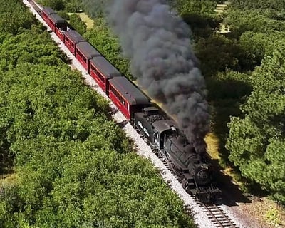 64-Mile Train & Bus Tour From Chama
