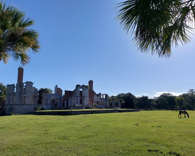 Cumberland Island Walking Tour: Haunting Ruins and Wild Horses