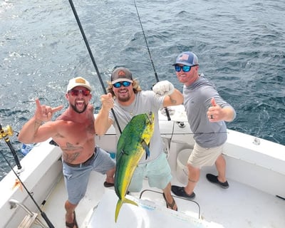 Black Flag Trolling, Bottom, and Offshore Fishing