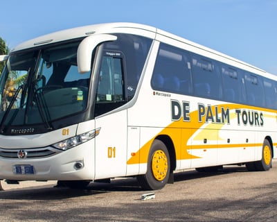 Baby Beach & Shopping Shuttle in Aruba