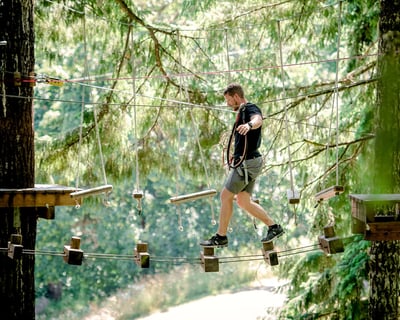 Aerial Obstacle Course & 2 Park Adventures in Gaston