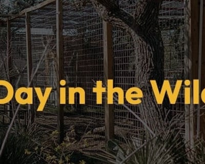 Full-Day Wildlife Park Tour in Mountain Home