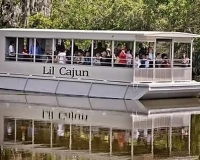 Covered Swamp Boat Tour in Westwego