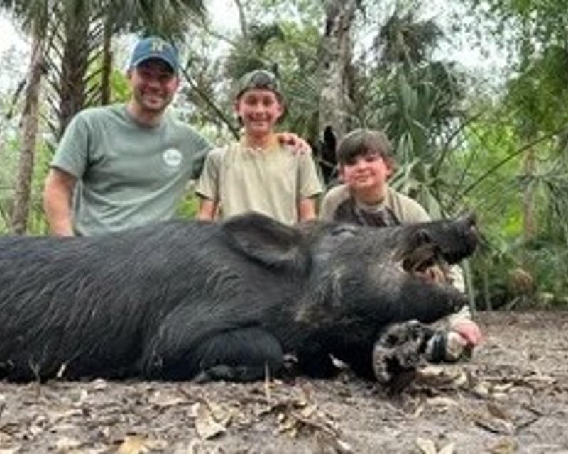 Full-Day Trophy Boar Hunt in Florida