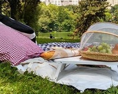 Enjoy a Group Picnic Catering Meal in New York City