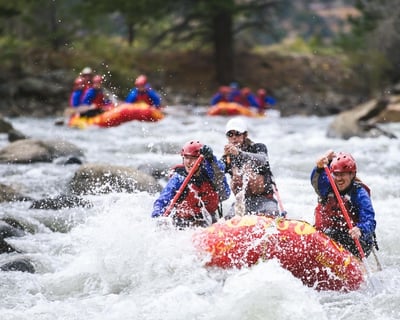 Raft The Numbers Private Whitewater Tour In Buena Vista