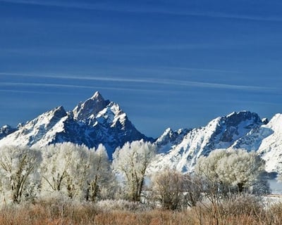 Jackson Hole Sunrise Wildlife Safari