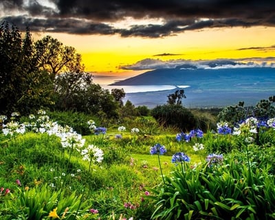 Sunset Photography Tour in Makawao