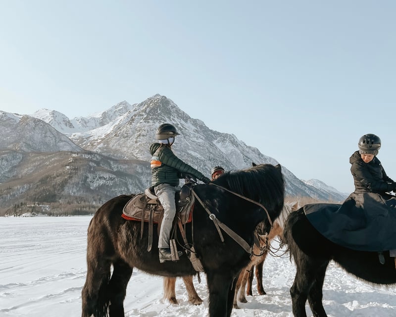 Winter Horseback Ride with Knik Glacier Views in Palmer