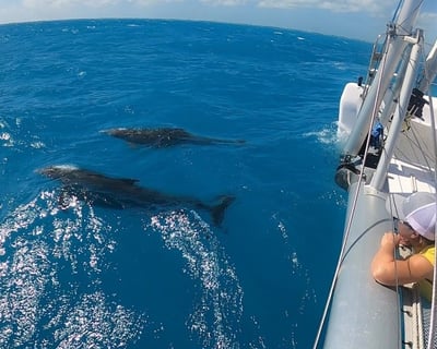 Customize a 4-Hour Private Yacht Charter