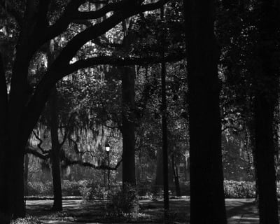 Horse-Drawn Ghost Tour in Savannah