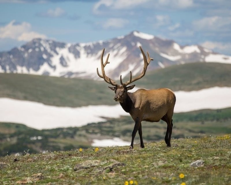 Full-Day Guided Walk & Wade Fly Fishing in Boulder