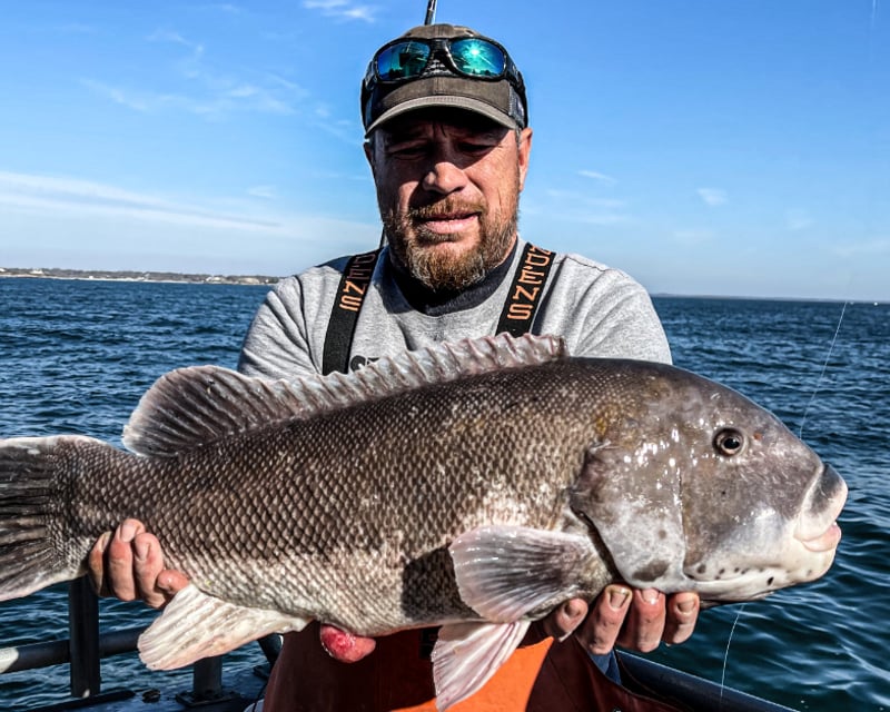 Blackfish Fishing Trip from Snug Harbor, Rhode Island