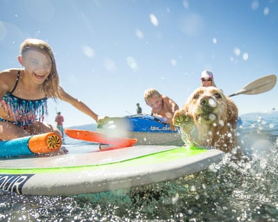 Full-Day Kayak & Paddleboard Rental on Lake Tahoe