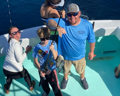 Destin 4-Hour Deep Sea Fishing Charter