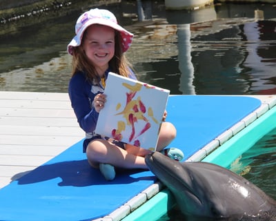 Create Art With a Dolphin in Key Largo