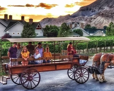 Palisade Horse-Drawn Sunset Tour