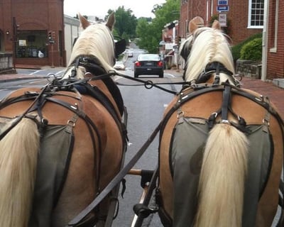 Private 50-Minute Lexington Historical Carriage Tour