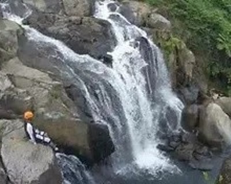 Private Customizable El Yunque Forest Tour