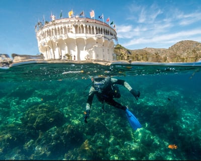 8-Hour Catalina Escape: Wildlife, Wine & Captain