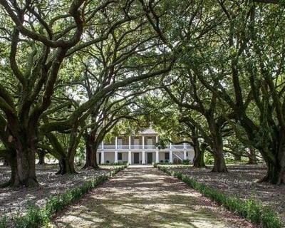 Whitney Plantation Self-Guided Tour From New Orleans