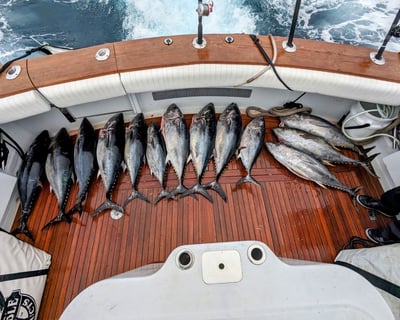 San Diego Full-Day Offshore Fishing Charter