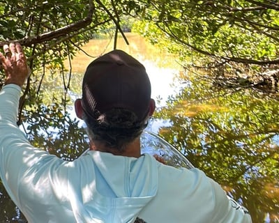 Private 2.5-Hour Clear Kayak Ecotour in Sarasota