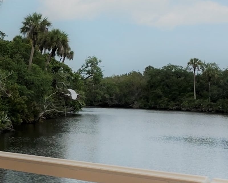 St. Sebastian River Wildlife Cruise